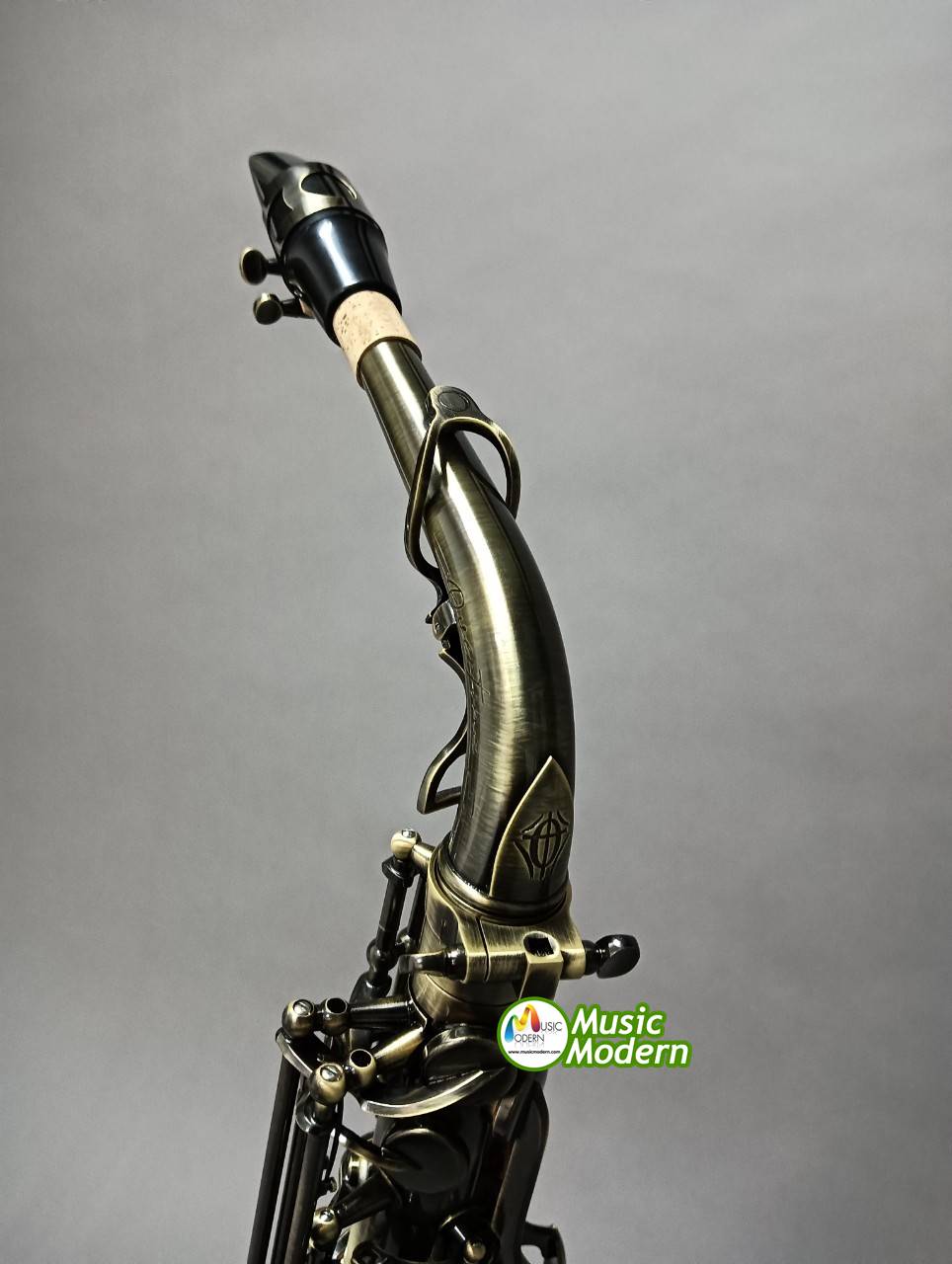 Overtone Alto Saxophone รุ่น OSA-301 EX