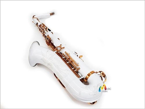 Overtone Tenor Saxophone รุ่น  SNOW เทเนอร์แซกโซโฟน ยี่ห้อ โอเว่อร์โทน รุ่น  SNOW