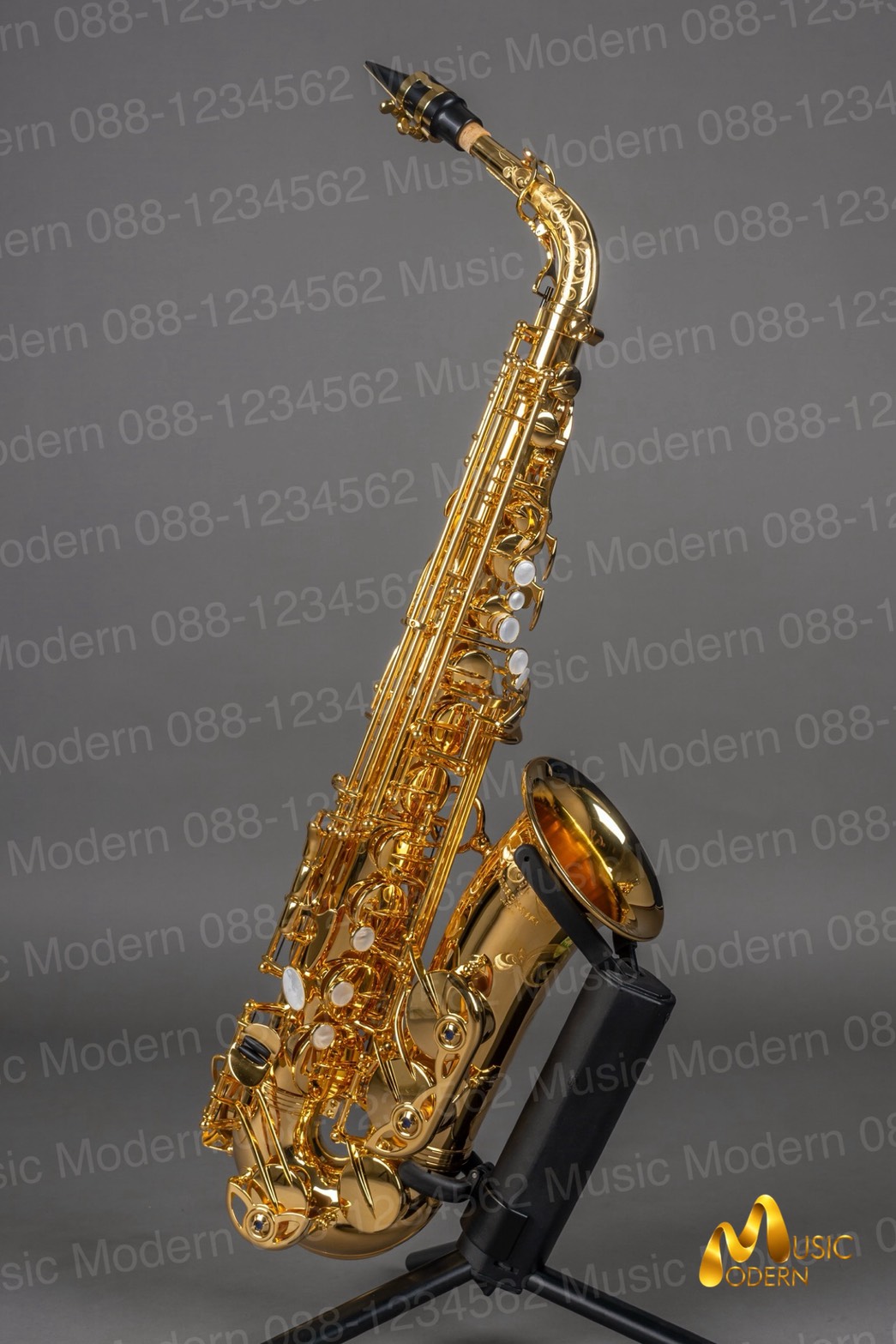 Yanagisawa A-WO20 GP Alto Saxophone Gold Plated