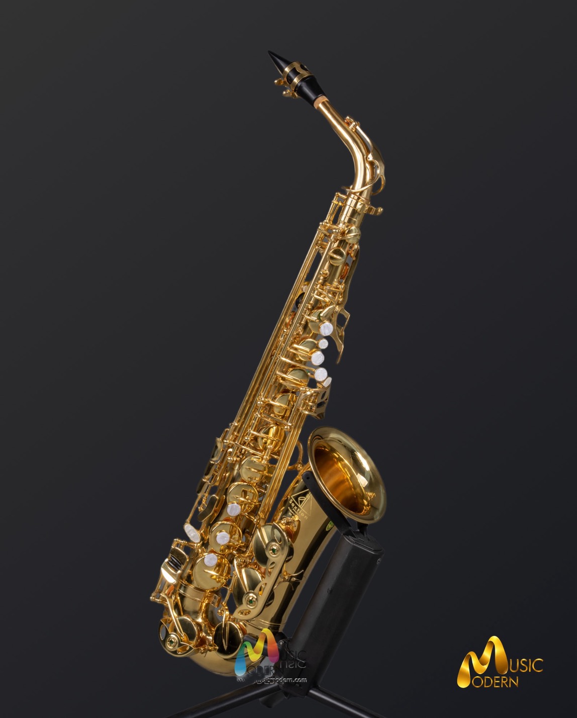 Saxtion SXA-201 Alto Saxophone