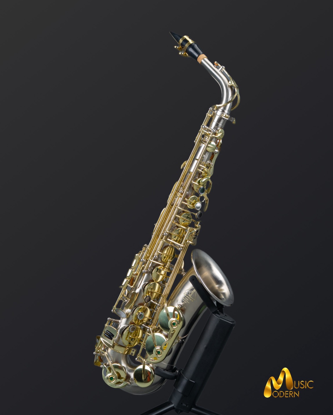 Saxtion SXA-301 Alto Saxophone
